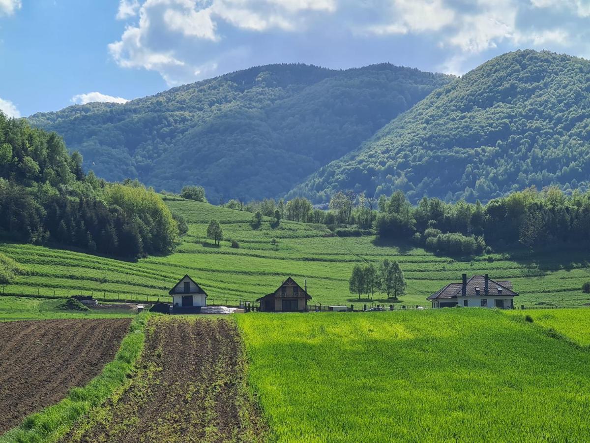 Tworkowo Komfortowy Caloroczny *